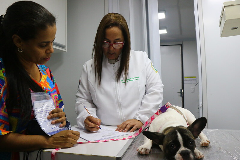 Castramovel_Olinda_Sandro-Barros_2