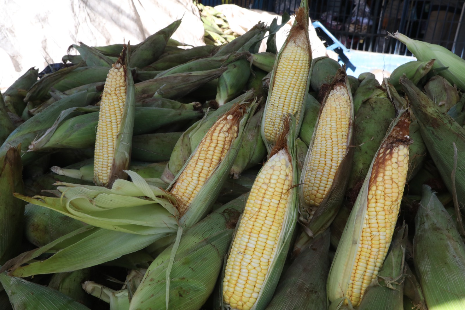 a27d08b7-3ea2-4404-b5c3-cccecd85354a