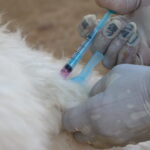 52518990869_29df4d7935_c