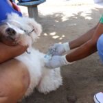 WhatsApp Image 2024-11-19 at 11.59.34 (2)