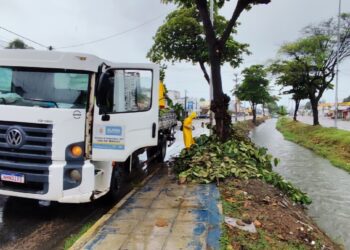 WhatsApp Image 2025-05-16 at 10.24.32