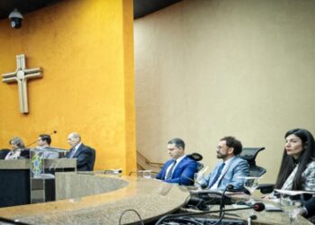 17501864173756-540x3498