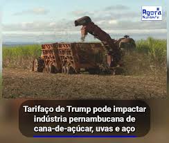 images - 2025-07-18T074404.880