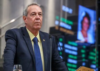 08.20-PLENARIA-JA-100-1024x683