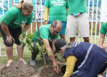 1200x_0.891795001758468341