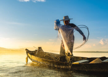 Seguro-Defeso-–-Pescador-Artesanal