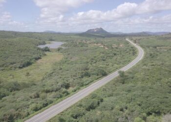 WhatsApp Image 2025-09-26 at 08.36.15