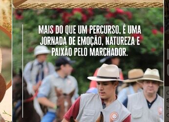 WhatsApp Image 2025-10-07 at 14.14.45