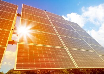 WhatsApp Image 2025-11-07 at 15.06.31